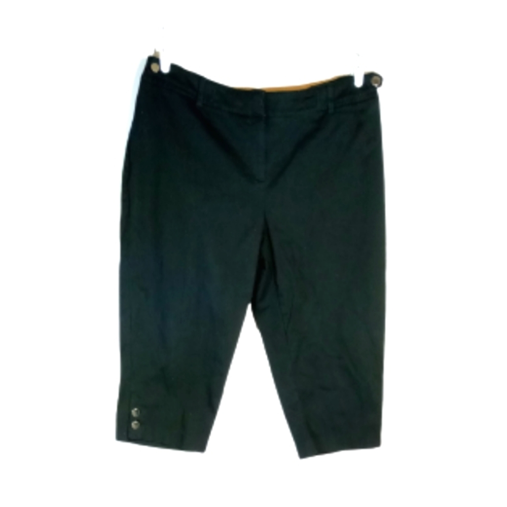 Larry Lavigne Woman Black Capris Sz 18W